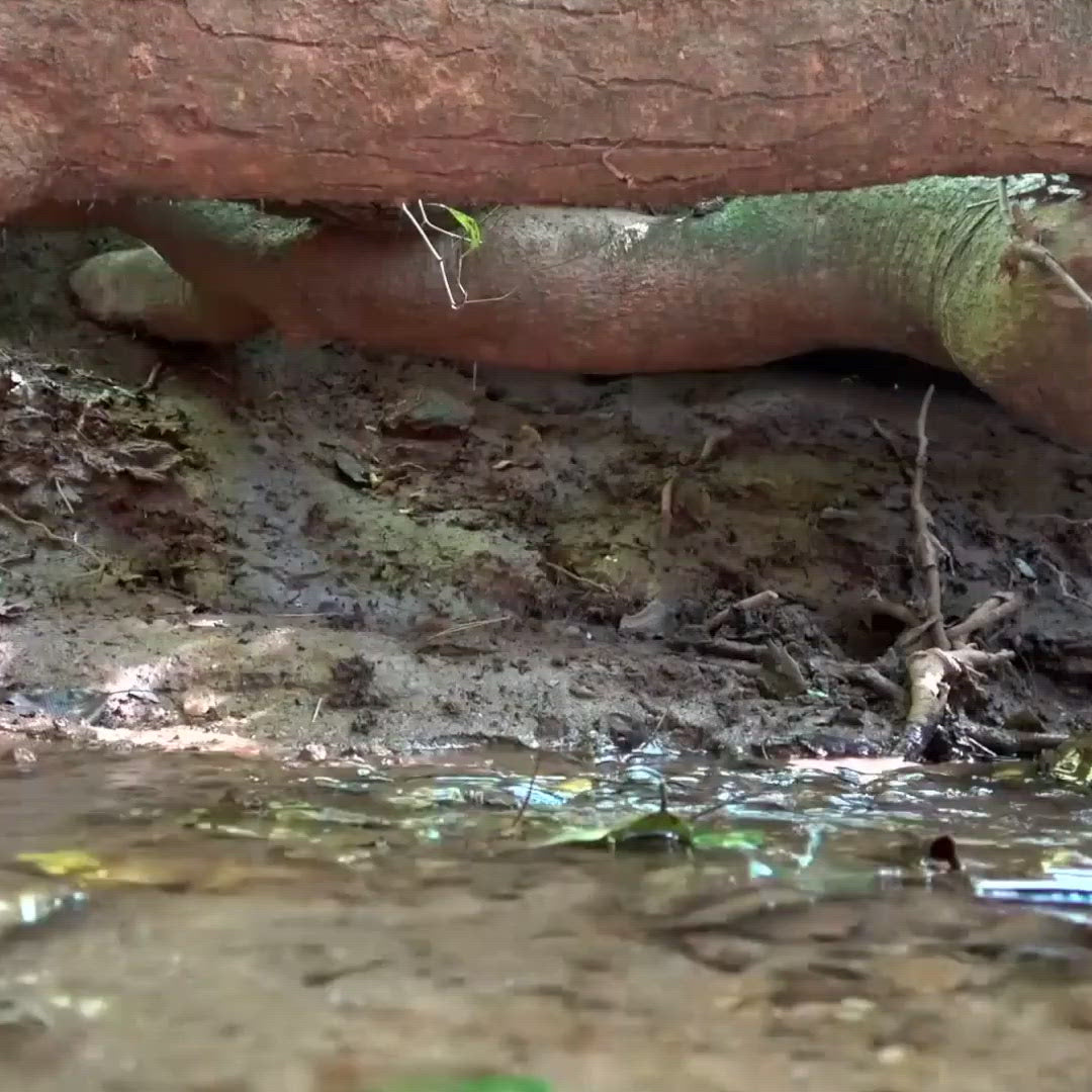 Warrior Chest Tactical Backpack