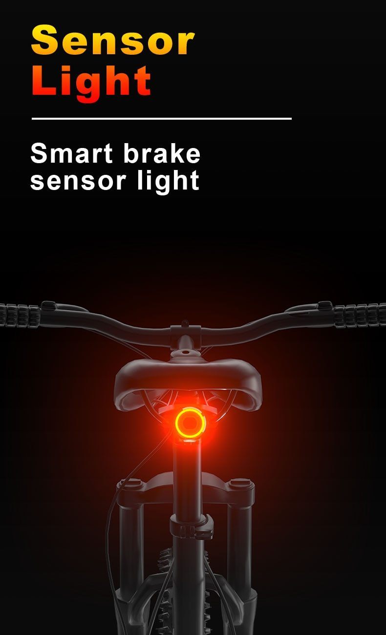 Smart Sensor 100 Intelligent Tail Light